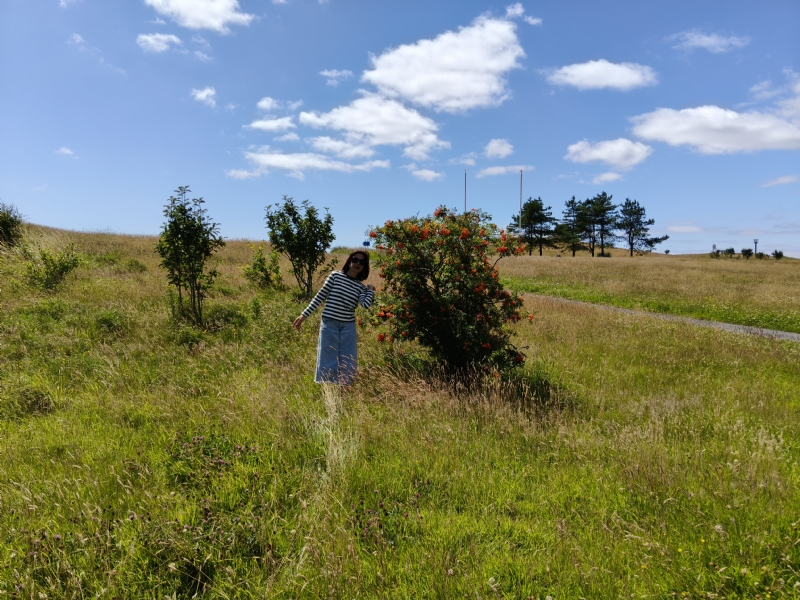 秋蝉的第一张照片--四川中老年相亲网